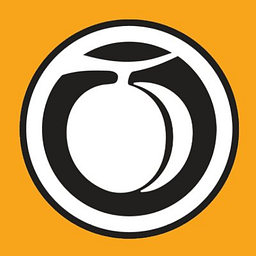 Designing for Digital: Principles and Best Practices for User Experience Design