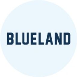 Blueland Cleaning Tablets
