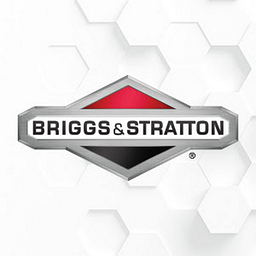 Briggs & Stratton 21-Inch Two-Stage Snow Blower