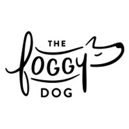 FoggyDog Solid Nylon Dog Collar
