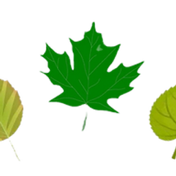 Green Leaf Landscaping