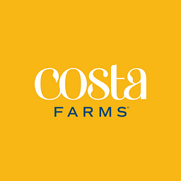 Costa Farms Hanging Planter