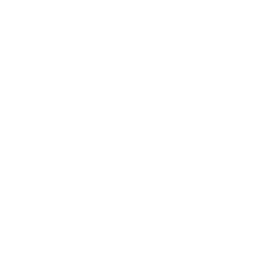 Fluval F1 Internal Filter