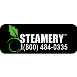 Steamery Lift Steam Mop