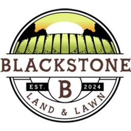 Blackstone BI02310 21-Inch Push Mower