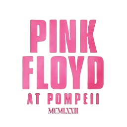 The Wall - Pink Floyd