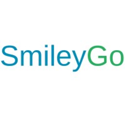 SmileyGo Lumbar Support Pillow