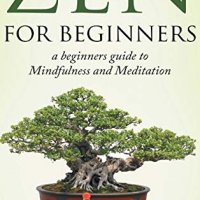 A Mindfulness Guide for Beginners