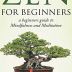 A Mindfulness Guide for Beginners