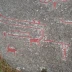 Ekenberg Petroglyphs