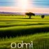 101domain