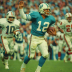1972 Miami Dolphins