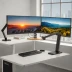 3M Easy-Adjust Desk Mount Monitor Arm MA265S