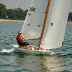 505 Class Dinghy Sailing