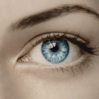 A Pale Blue Eye by Edmund White