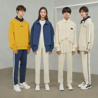 ADER Error
