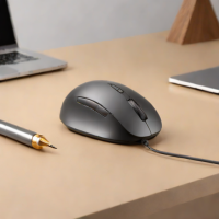 Anker Wireless Vertical Mouse
