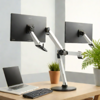 Amazon Basics Dual Monitor Arm