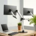 Amazon Basics Dual Monitor Arm