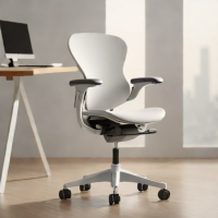 Autonomous Chair