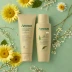 Aveeno Calm + Restore Nourishing Gentle Cleanser