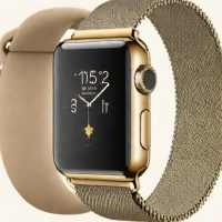 Apple Watch Series 9 (Milanese Loop Band)