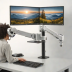 Amazon Basics Dual Monitor Mount