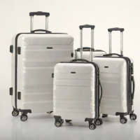 Amazon Basics Luggage
