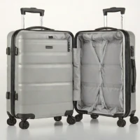 Amazon Basics Luggage