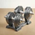 Adjustable Dumbbell Set (Premium Cast Iron)