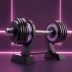 Adjustable Dumbbell Set (Entry Level Pair)