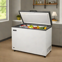 Arctic 20 cu. ft. Chest Freezer