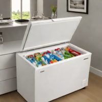 Arctic 14 cu. ft. Chest Freezer
