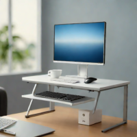 Adjustable Metal Frame with Storage