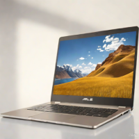 Asus ZenBook UX305