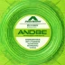 Andro Rasant