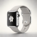 Apple Watch Series 9 (GPS Only, Titanium Case)