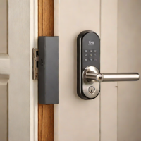 Amazon Basics Smart Deadbolt