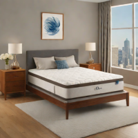 Amerisleep AS4