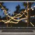 Amazon Basics Solar Fairy Lights