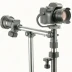 Articulating Pole Mount for Cameras