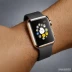 Apple Watch Ultra (Previous Generation Model)