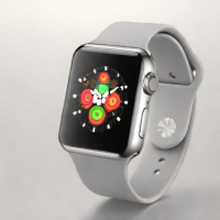 Apple Watch Series 9 45mm (Milanese Loop)