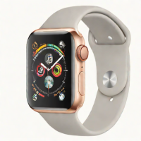 Apple Watch Series 9 45mm (Sport Loop)