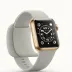 Apple Watch Series 9 45mm (Sport Loop)