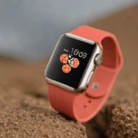 Apple Watch Series 9 45mm (Best for Travel)