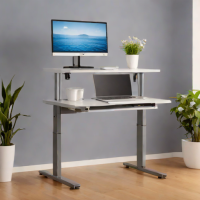 Amazon Basics Standing Desk