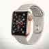 Apple Watch SE (LTE Model)