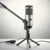 AKG C91