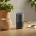 Amazon Echo Flex